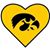 Marci Eilers Korenberg's profile image