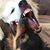 Laura Spink Marley's profile image