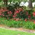 JoAnn Dill's profile image