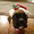 Karen Matier's profile image