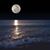 Judy Burris's profile image
