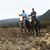 Sheryl Bitner's profile image