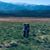 Jason N Cjay Ford's profile image