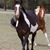 Karen Spencer's profile image