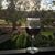 Louise Cullen's profile image