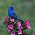 Shelly Martyniak's profile image