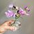 Amanda Jewell-Williams's profile image