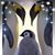 Karyn Bedwell's profile image