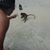 Steve Soliz Jr's profile image