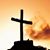 Sandy Perrin's profile image