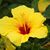 Terri Kroesing's profile image