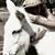Karen Sue Johnson's profile image