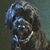 Joni Doran's profile image