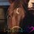 Sandy Davis's profile image