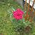Shelley Annis Byrne's profile image