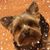 Jeanne Galloway's profile image