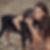 Cris Barbosa's profile image