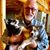 Albert Zipp's profile image