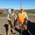 Norlyn Swenson's profile image
