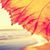 Carol Clifton Smith's profile image