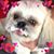 Vicki Hugenberg's profile image