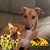 Teresa Bickers-Dyer's profile image