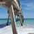 Maureen Gardiner's profile image