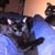 Wendy Stromme's profile image