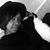 Domanica Bell's profile image