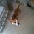 Michael C. Corwin's profile image