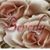Beverly Gamble's profile image