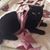 Mariem Khadija's profile image