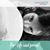Terry Ann Matt Scott's profile image