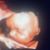 Traci Lynne Goebbel's profile image