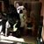 Cheryl Nevers's profile image