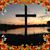 Mary Barnett's profile image