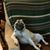 Marshane Lynn Greathouse's profile image