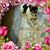 Linda Wilson's profile image