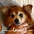 Elena Reyes Kent's profile image