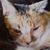 Jenni Sail's profile image