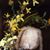 Robin Saville Harrison's profile image