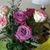 Julie Chrostowski-Mish's profile image