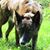 Penny A Hill's profile image