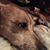 Kendra Manchester Allen's profile image