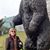 Faye Kilpatrick's profile image