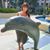 Nancy Pellegrino Vorrias's profile image