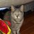 Paula Holsten's profile image