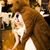 Brian Hadfield's profile image