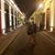 Luis Rodriguez's profile image