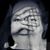 Susan Holm's profile image